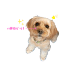loussier♡♡♡♡（個別スタンプ：4）
