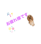 loussier♡♡♡♡（個別スタンプ：5）