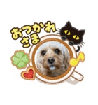 loussier♡♡♡♡（個別スタンプ：6）