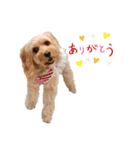loussier♡♡♡♡（個別スタンプ：8）