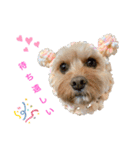 loussier♡♡♡♡（個別スタンプ：10）