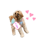 loussier♡♡♡♡（個別スタンプ：11）