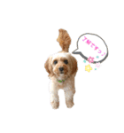 loussier♡♡♡♡（個別スタンプ：13）
