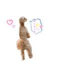 loussier♡♡♡♡（個別スタンプ：14）
