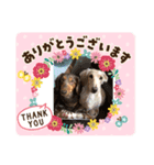 我が家の悪戯姫（個別スタンプ：7）