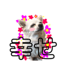 愛犬チワワのりっぷちゃん②（個別スタンプ：12）