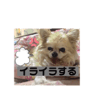 ここあちゃんのいちにち（個別スタンプ：4）