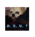 ここあちゃんのいちにち（個別スタンプ：5）