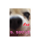 ここあちゃんのいちにち（個別スタンプ：6）