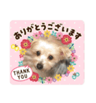 ユイちゃんの日常語（個別スタンプ：1）