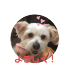 ユイちゃんの日常語（個別スタンプ：2）