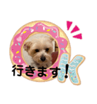 ユイちゃんの日常語（個別スタンプ：6）