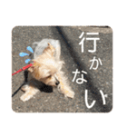 ユイちゃんの日常語（個別スタンプ：7）