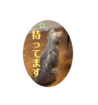 ユイちゃんの日常語（個別スタンプ：8）