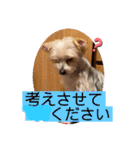 ユイちゃんの日常語（個別スタンプ：9）