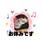 ユイちゃんの日常語（個別スタンプ：11）