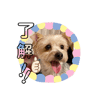 ユイちゃんの日常語（個別スタンプ：14）