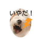ユイちゃんの日常語（個別スタンプ：15）