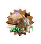 ユイちゃんの日常語（個別スタンプ：19）