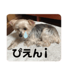 ユイちゃんの日常語（個別スタンプ：20）