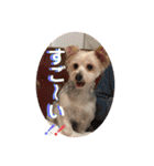 ユイちゃんの日常語（個別スタンプ：31）