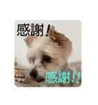 ユイちゃんの日常語（個別スタンプ：33）