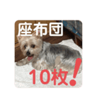 ユイちゃんの日常語（個別スタンプ：37）