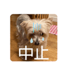 ユイちゃんの日常語（個別スタンプ：39）