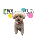 モカタンプ（個別スタンプ：8）