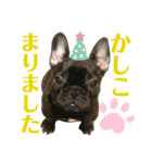 フレブルうめこ時々さくら2（個別スタンプ：6）
