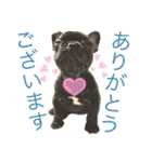 フレブルうめこ時々さくら2（個別スタンプ：7）