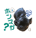 フレブルうめこ時々さくら2（個別スタンプ：14）