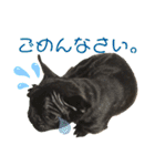 フレブルうめこ時々さくら2（個別スタンプ：15）