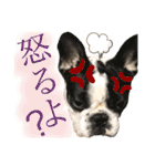 フレブルうめこ時々さくら2（個別スタンプ：17）