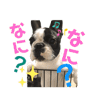 フレブルうめこ時々さくら2（個別スタンプ：25）