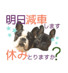 フレブルうめこ時々さくら2（個別スタンプ：32）