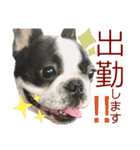 フレブルうめこ時々さくら2（個別スタンプ：34）
