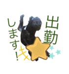 フレブルうめこ時々さくら2（個別スタンプ：36）
