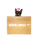 ヒラ家のイッヌ-ラブ-（個別スタンプ：4）