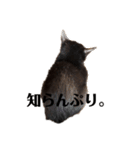 kiki,No.1（個別スタンプ：6）