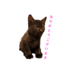 kiki,No.1（個別スタンプ：7）
