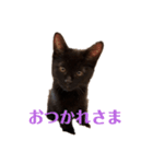 kiki,No.1（個別スタンプ：8）