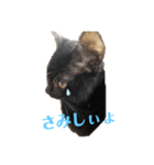kiki,No.1（個別スタンプ：11）