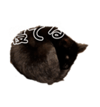 kiki,No.1（個別スタンプ：14）