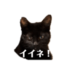 kiki,No.1（個別スタンプ：15）
