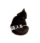 kiki,No.1（個別スタンプ：16）