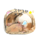 びーとるの日常（個別スタンプ：6）