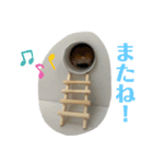 びーとるの日常（個別スタンプ：8）