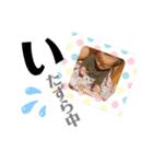 ケンくんスタンプ（個別スタンプ：1）