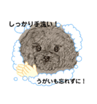 トイプーRとインコのチューちゃん（個別スタンプ：6）